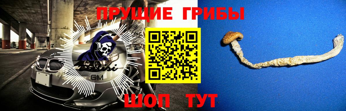 Галлюциногенные грибы Psilocybine cubensis Тимашёвск