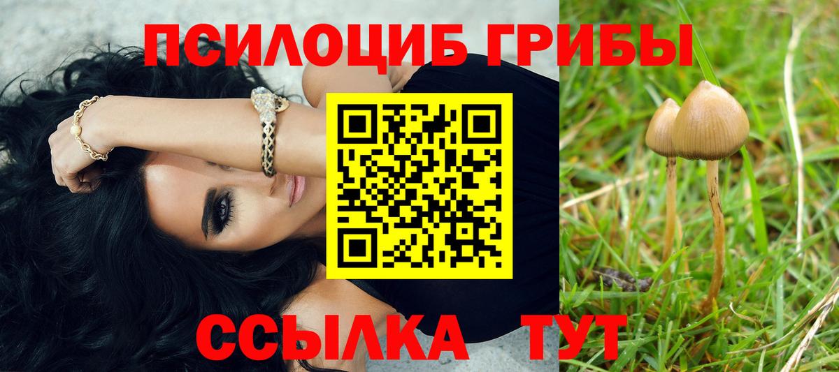 Тимашёвск  Галлюциногенные грибы GOLDEN TEACHER  Галлюциногенные грибы GOLDEN TEACHER  Вход с VPN 