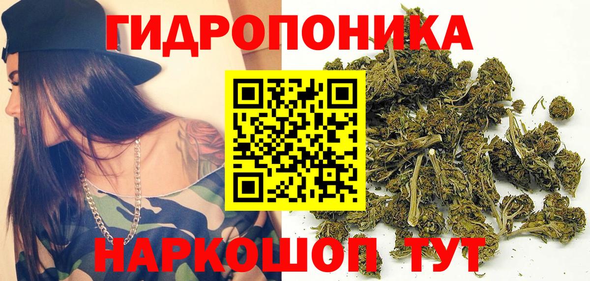 Конопля OG Kush Тимашёвск